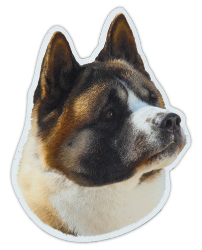 Magnetic bumper sticker - magnetic,